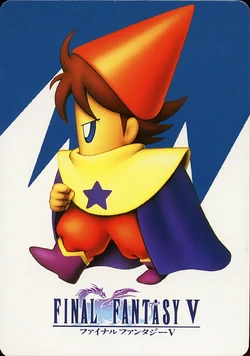Final Fantasy V Card Collection | Final Fantasy Wiki | Fandom