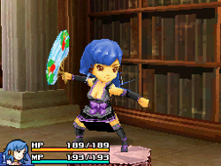 Final Fantasy Crystal Chronicles: Echoes of Time.