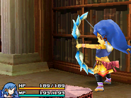 Final Fantasy Crystal Chronicles: Echoes of Time.