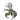 Aculeate X2 portrait