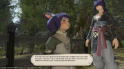 T'maritaa and T'danafa from FFXIV 2015