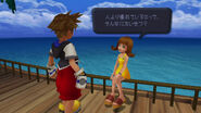 Kingdom Hearts 1.5 HD Remix in-game appearance.