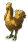 Battle model of a normal chocobo.