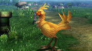 FFX Chocobo