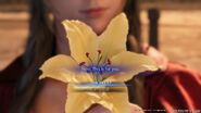 Aerith Flower Choice from FFVII Remake