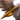 Divebeak X2 portrait