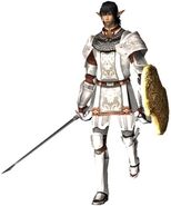 An Elvaan Paladin in Final Fantasy XI.