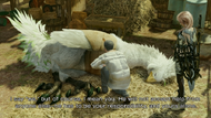 LRFFXIII White Chocobo 2