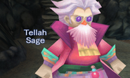 Tellah's introduction screen (PC).