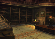 A section of the library of Alexandria Castle.