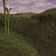 The Pashhow Marshlands in Final Fantasy XI.