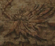 Engraving of Phoenix.