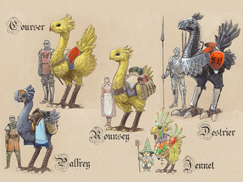 FINAL FANTASY XI ピヨピヨヒナチョコボ 41QkuHuP7QL._UF350,350_QL80_.jpg
