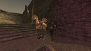 EastAltepa Chocobo