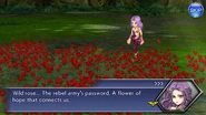 OO Maria Roses.png (2.41 MB) Maria finds a field of wild roses.
