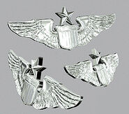 Hein's rank badge