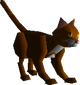 Ginger cat.