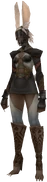 FF12 - Viera Model 2.png (143 KB) Wood Warder viera in Final Fantasy XII.