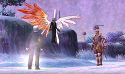 The adventurer with 2 Selh'teus