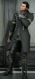 Gladiolus
