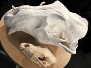 Behemoth-Skull-Sculpture-FFXV