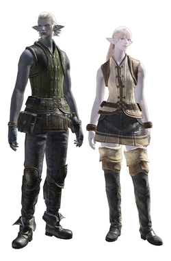 Duskwight (Shader) Elezen.