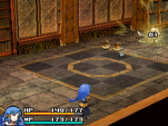 Final Fantasy Crystal Chronicles: Echoes of Time.