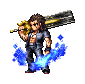 Gladiolus (★6).