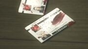 Tseng-and-Elena's-ID-cards-FFVIIAC