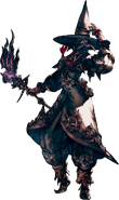 Elezen Black Mage XIV