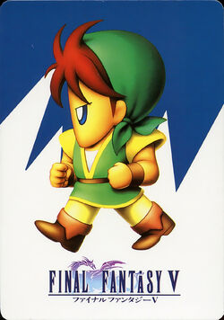 Final Fantasy V Card Collection | Final Fantasy Wiki | Fandom Final Fantasy V Card Collection | Final Fantasy Wiki | Fandom