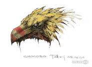 A chocobo.