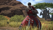 FFXIV Aldis in samurai stance