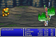 Basuna cast on the party in Final Fantasy II (GBA).