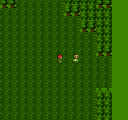 Final Fantasy II (NES).