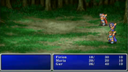 Final Fantasy II (PSP).