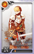 A Rank N Squire in Final Fantasy Artniks.