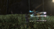 FFXIV ARR Leeches