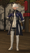 FFXIV Alphinaud HW Outfit