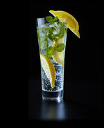 Artnia Drink Potion.jpg (59 KB) Potion