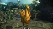 Normal yellow chocobo.