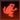 Toad icon in FFXV