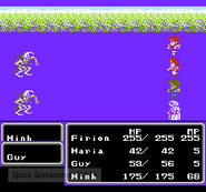 Final Fantasy II (NES).