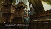 Eruyt-Village-Hunt-FFXII-TZA