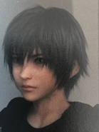 Noctis Lucis Caelum jovem.