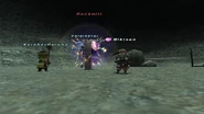 Final Fantasy XI.