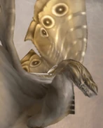 Pyrolisk (FFXII).jpg (255 KB) Pyrolisk