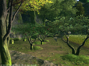 FFXIV Greatloam Orchard