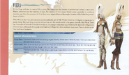 Viera in Final Fantasy XII Official Strategy Guide Book.