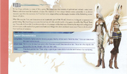 Viera FFXII Official Strategy Guide